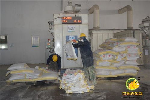 標(biāo)桿工廠，再創(chuàng)輝煌 浙江播恩預(yù)混料與教槽料產(chǎn)銷量破10000噸慶典隆重舉行